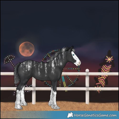 Horse Color:Powder White Black Splash