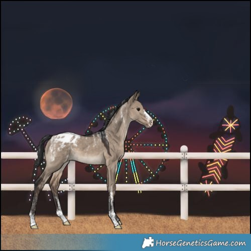 Horse Color:Powder White Brown Dun Blanket