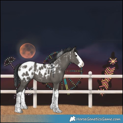 Horse Color:Powder White Grullo Splash Blanket 