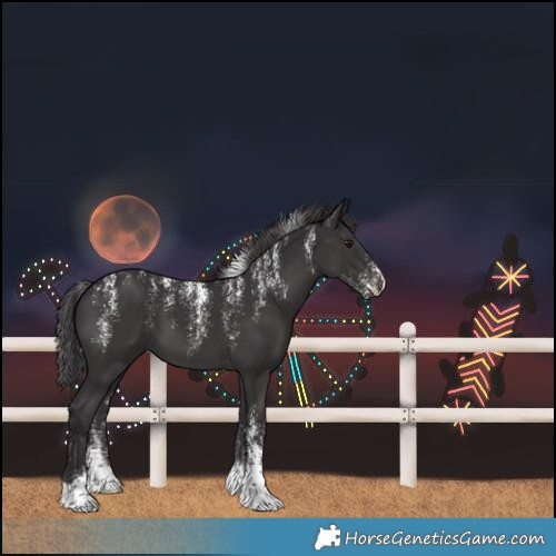 Horse Color:Powder White Smoky Black
