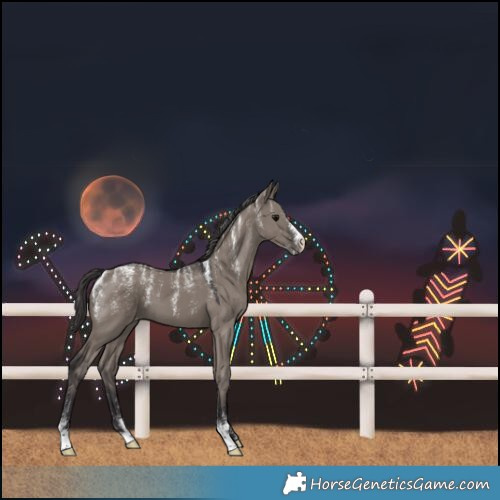 Horse Color:Powder White Smoky Grullo Varnish 