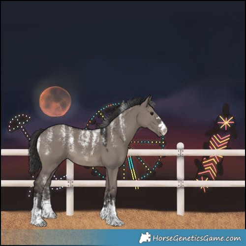 Horse Color:Powder White Smoky Grullo