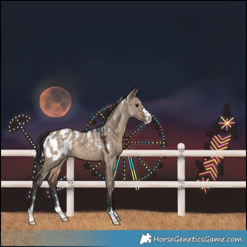 Horse Color:Powder White Brown Dun Blanket