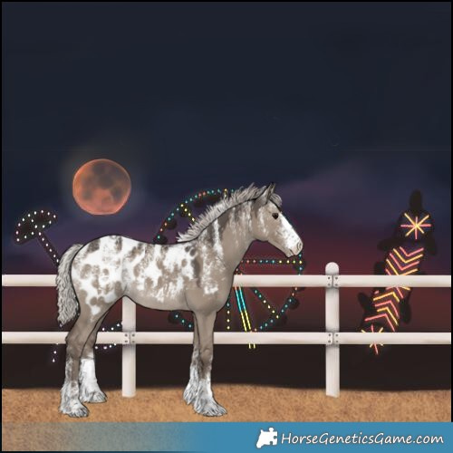 Horse Color:Powder White Silver Grullo Blanket 