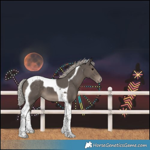 Horse Color:Silver Black Tobiano Varnish 