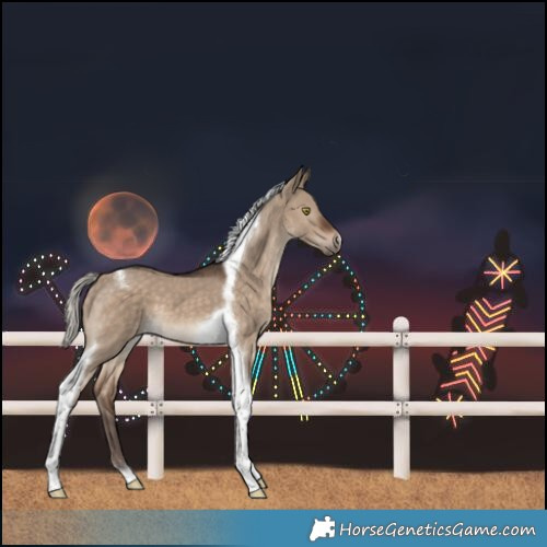 Horse Color:Silver Brown Dun Tobiano 