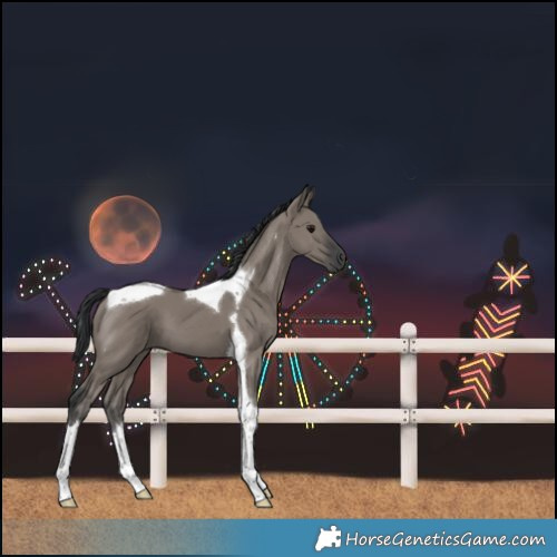 Horse Color:Grullo Tobiano 