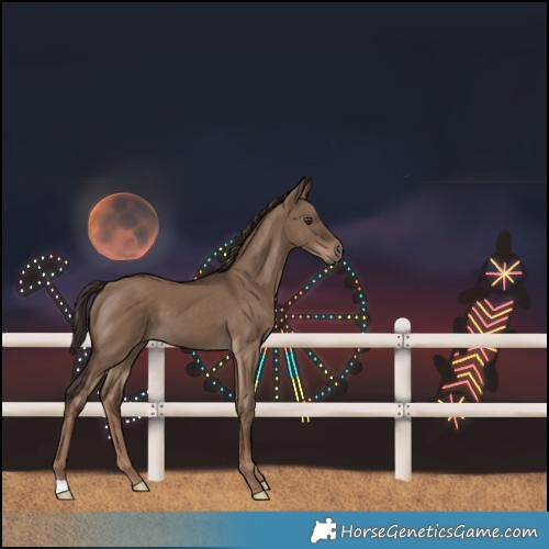 Horse Color:Liver Red Dun 