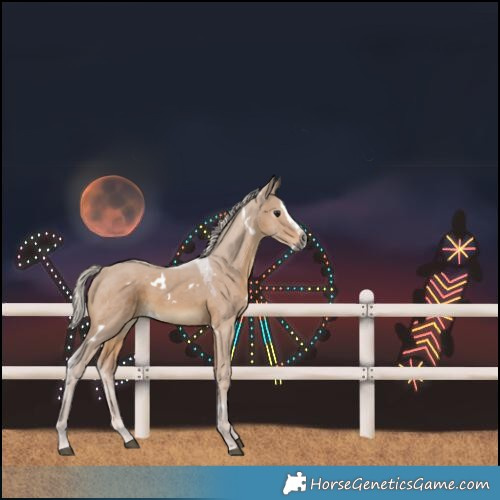 Horse Color:Gray White Spotted Silver Brown Dun Splash 