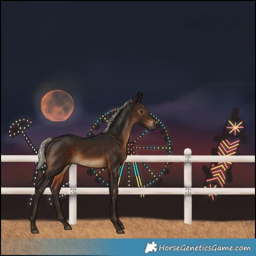 Horse Color:Gray Silver Brown 