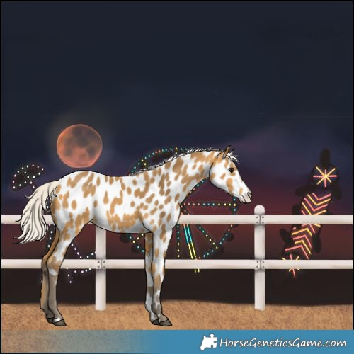 Horse Color:Silver Buckskin Near Leopard
