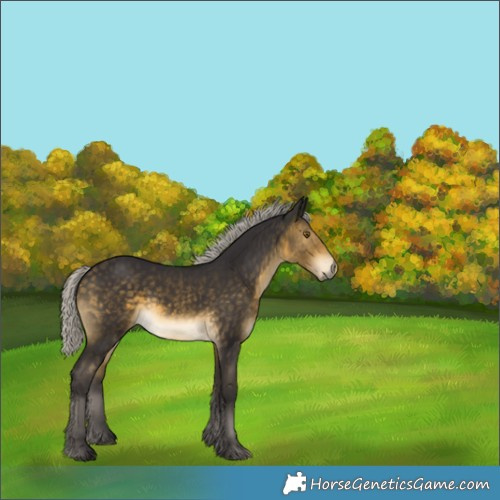 Horse Color:Silver Buckskin 