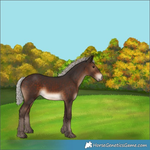Horse Color:Silver Bay 