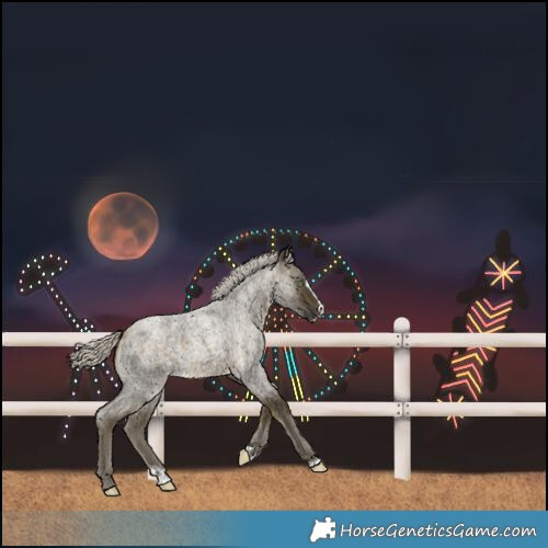 Horse Color:Silver Pseudo Buckskin Roan Splash 