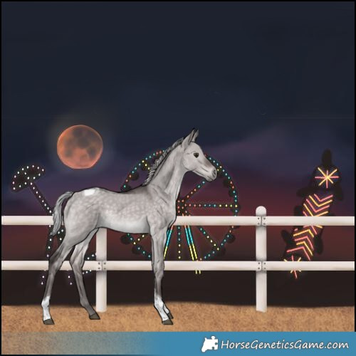 Horse Color:Platinum Silver Bay Dun Tobiano