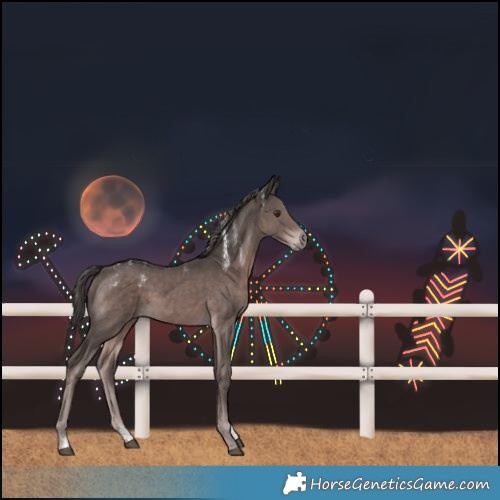 Horse Color:Powder White Platinum Liver Chestnut 