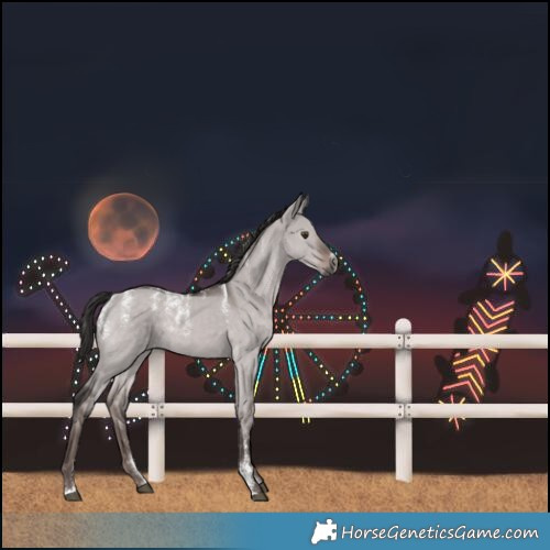 Horse Color:Powder White Gray Platinum Liver Red Dun 