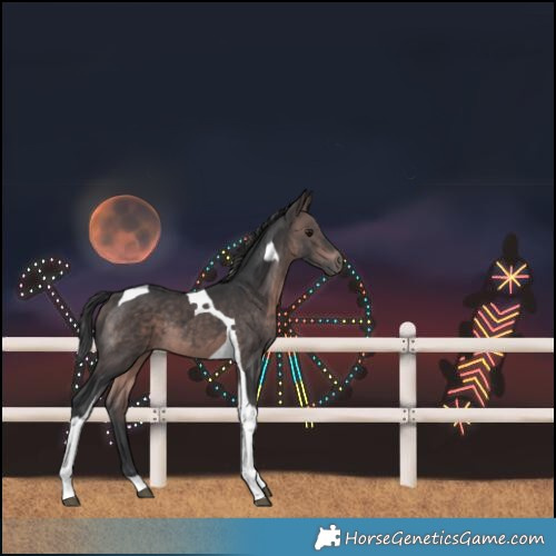 Horse Color:Platinum Brown Tobiano 