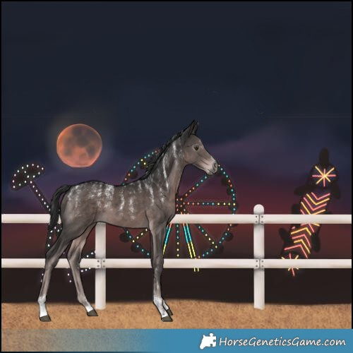 Horse Color:Powder White Gray Platinum Liver Chestnut