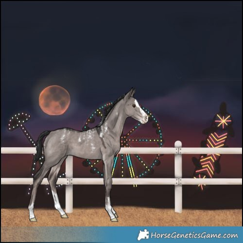Horse Color:Powder White Platinum Liver Red Dun Splash 