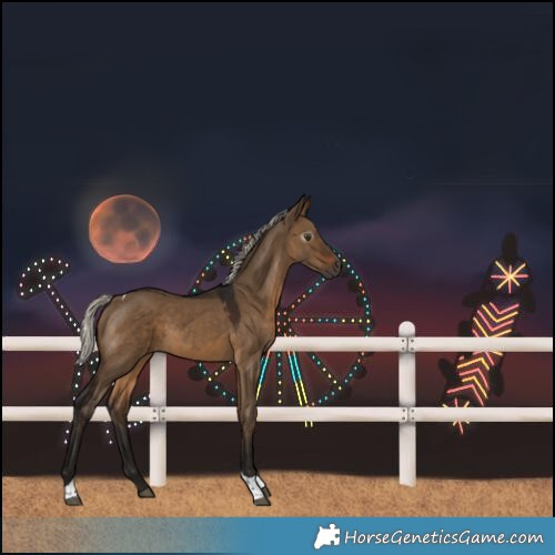 Horse Color:Gray Silver Brown Dun Tobiano 