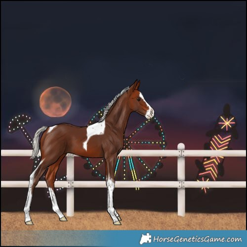 Horse Color:Silver Bay Splash Tobiano 
