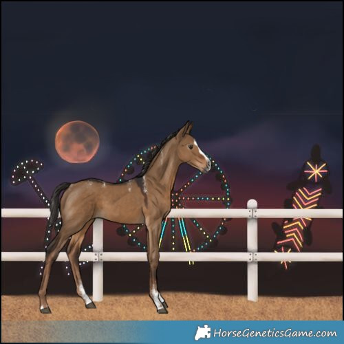 Horse Color:Powder White Gray Liver Red Dun Splash 