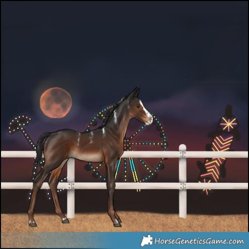 Horse Color:Powder White Liver Chestnut Splash 