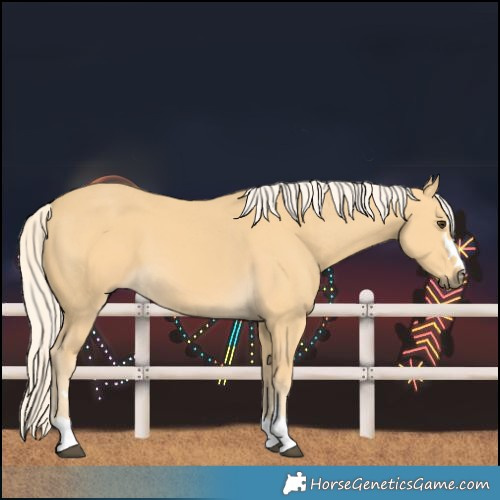 Horse Color:Palomino 