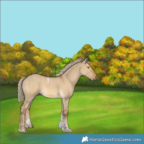 Horse Color:Powder White Chocolate Palomino Dun Tobiano 