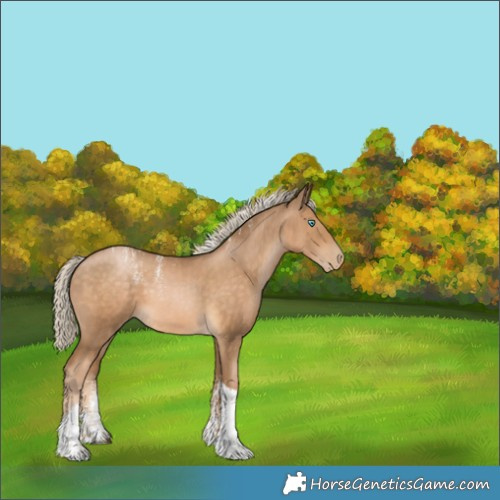 Horse Color:Powder White Chocolate Palomino Tobiano 