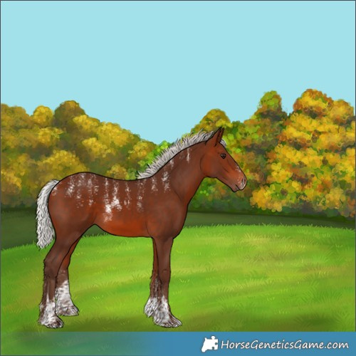 Horse Color:Powder White Silver Bay 