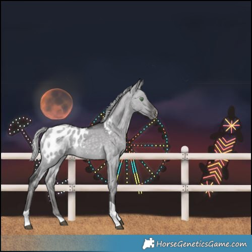 Horse Color:Platinum Silver Buckskin Dun Tobiano Blanket