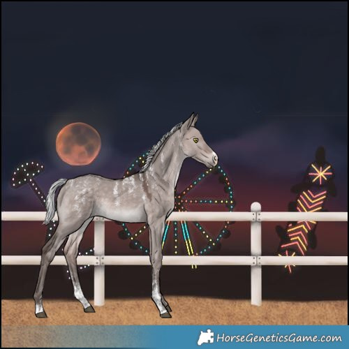 Horse Color:Powder White Platinum Silver Brown Dun 
