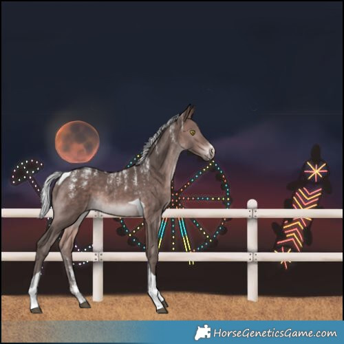 Horse Color:Powder White Platinum Silver Bay Tobiano