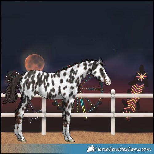 Horse Color:Liver Chestnut Leopard 