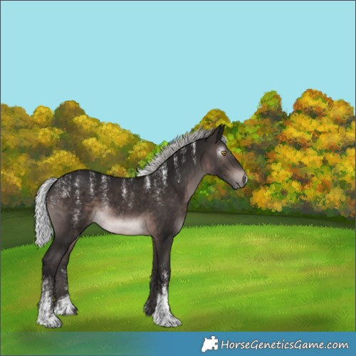 Horse Color:Powder White Gray Platinum Silver Brown 