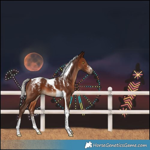 Horse Color:Powder White Silver Brown Tobiano