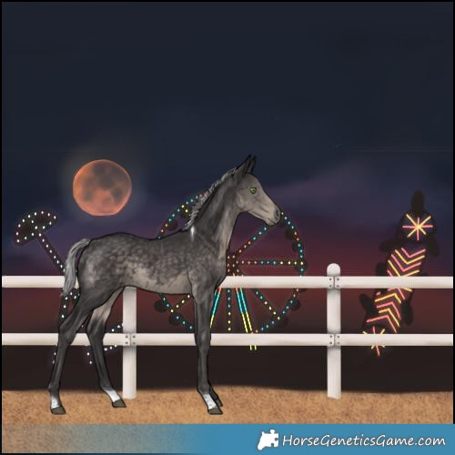 Horse Color:Platinum Silver Smoky Black Tobiano 