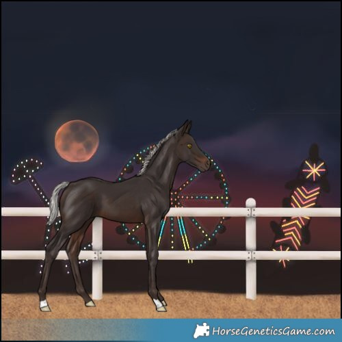 Horse Color:Silver Brown 