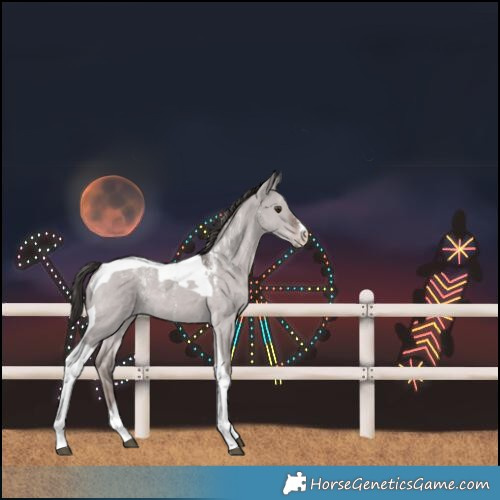 Horse Color:Powder White Platinum Liver Red Dun Tobiano 