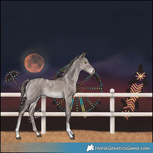Horse Color:Powder White Platinum Liver Red Dun Tobiano