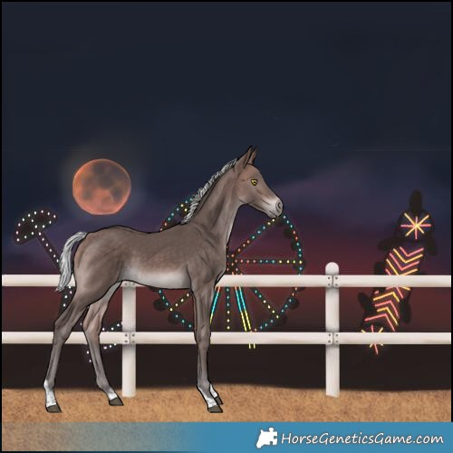 Horse Color:Platinum Silver Bay Tobiano
