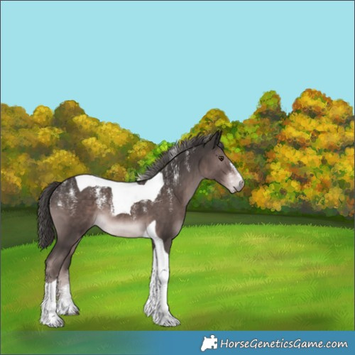 Horse Color:Powder White Platinum Liver Chestnut Tobiano 