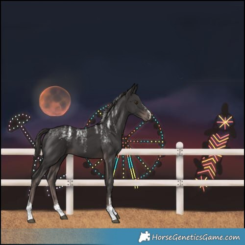 Horse Color:Powder White Platinum Liver Chestnut Tobiano 