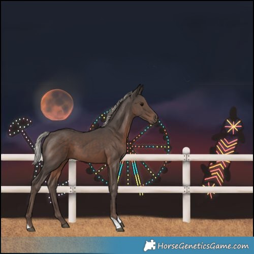 Horse Color:Silver Black Tobiano