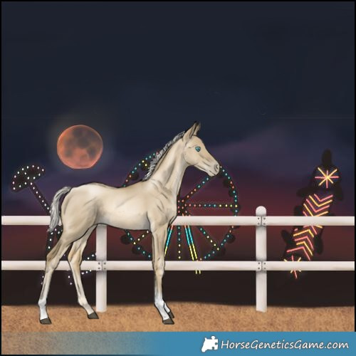 Horse Color:Silver Smoky Grullo Tobiano
