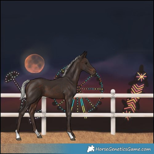 Horse Color:Silver Brown Tobiano 