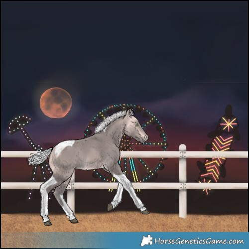 Horse Color:Platinum Silver Buckskin Tobiano 