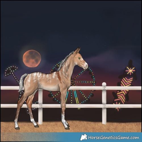 Horse Color:Powder White Silver Bay Dun